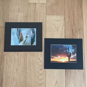 2 Arizona Wildlife Photos in Frames